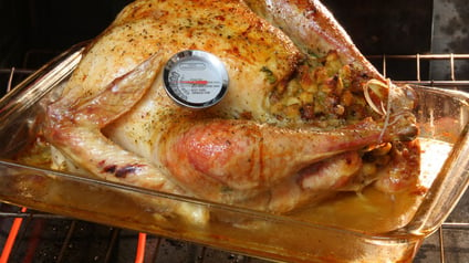 Turkey with Thermometer 