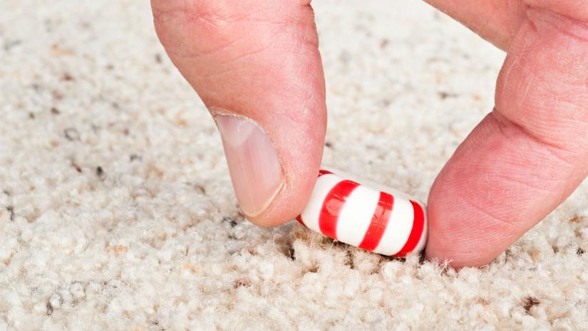 The 5 Second Rule: Fact or Fiction?