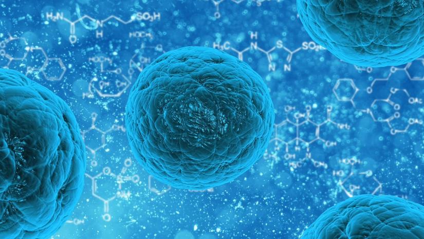 norovirus transmission