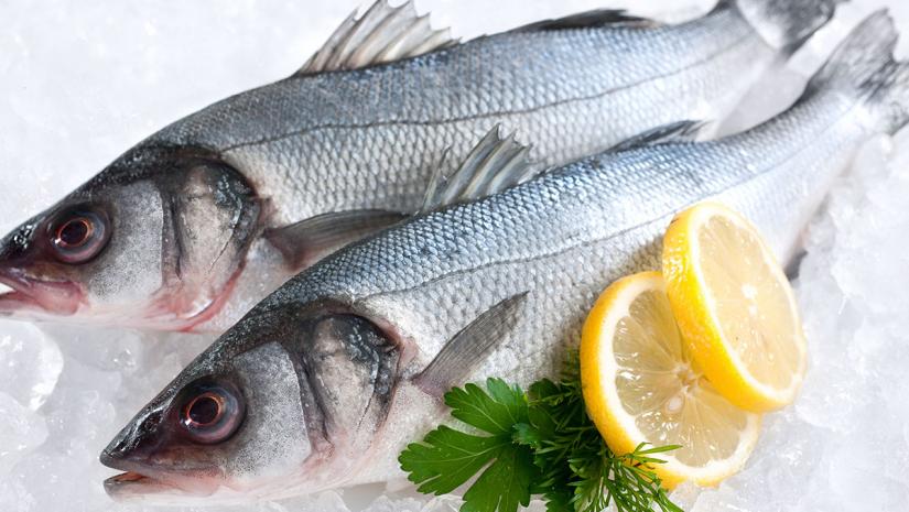 Watch Out for High Mercury Levels in Fish